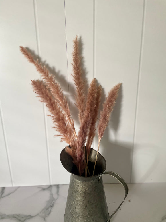 Mini Pampas