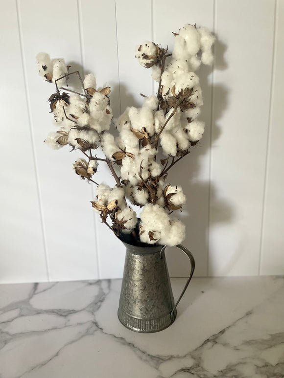 Cotton Flower